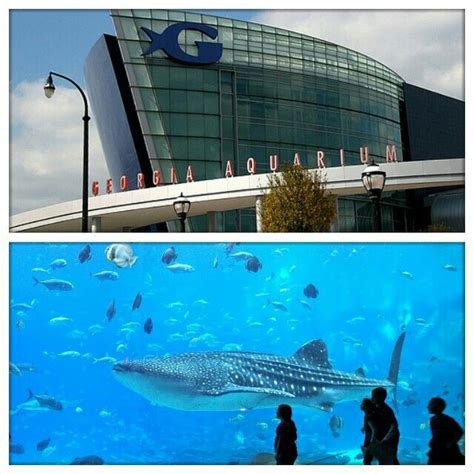 aaa georgia aquarium tickets
